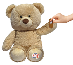 Teddybär-Patient HUN1840