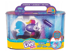 Unicorn Fish - Little live pets