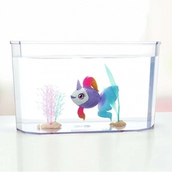 Unicorn Fish - Little live pets