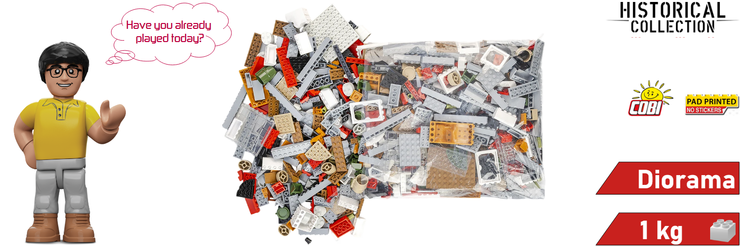 Mix of individual bricks COBO 21048 | COBIshop.cz
